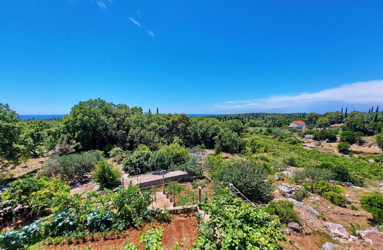 Appartamento Le Petit Čilipi Esterno foto